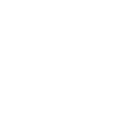 tabler--eye (1)