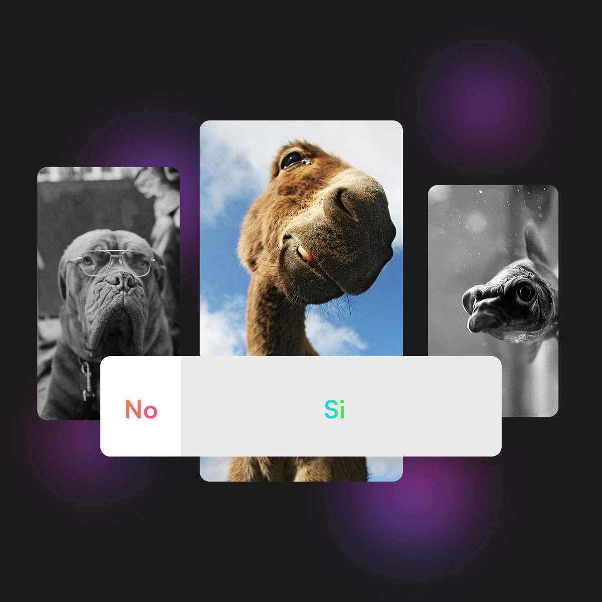 Voti del sondaggio sulle storie di Instagram