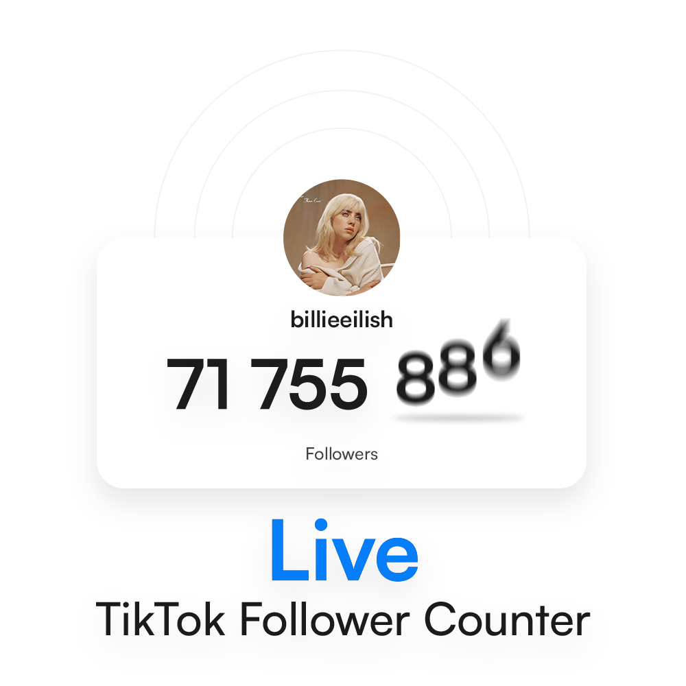 Live TikTok Follower Count